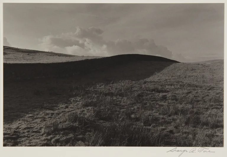 Stone Wall, Haworth Moor