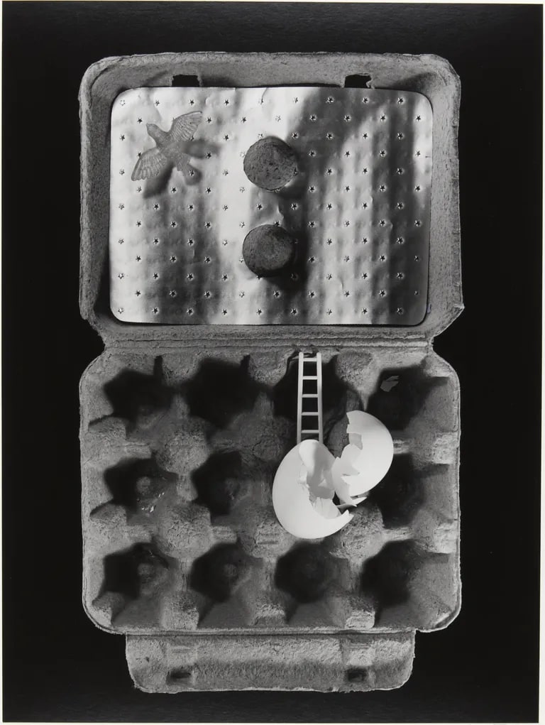 Untitled, 1981 (egg carton, ladder, bird)