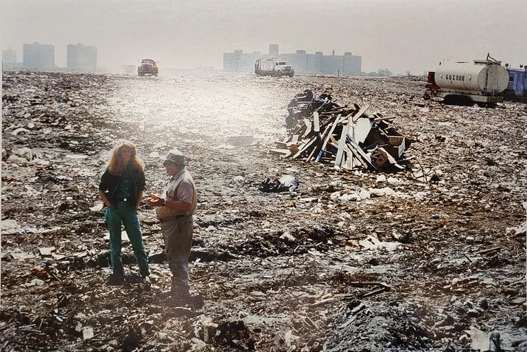Deborah Freedman, Landfill