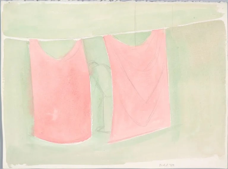 Two pink cloths on line
