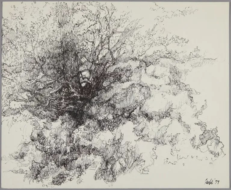 A Princeton Garden