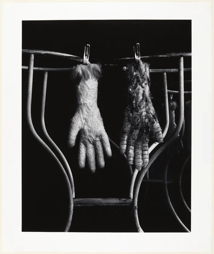 Chicken Skin Glove and Prawn Shrimp Glove