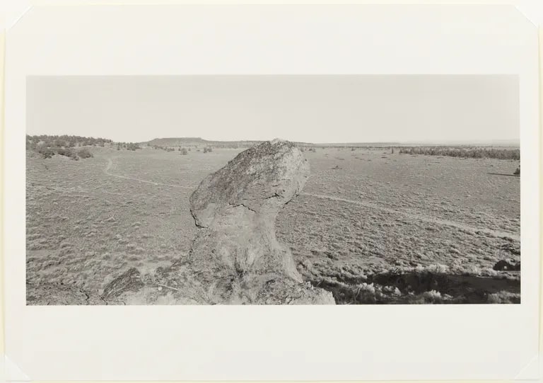 Clastic Boulder, Cougar Mountain, Lake County, Oregon