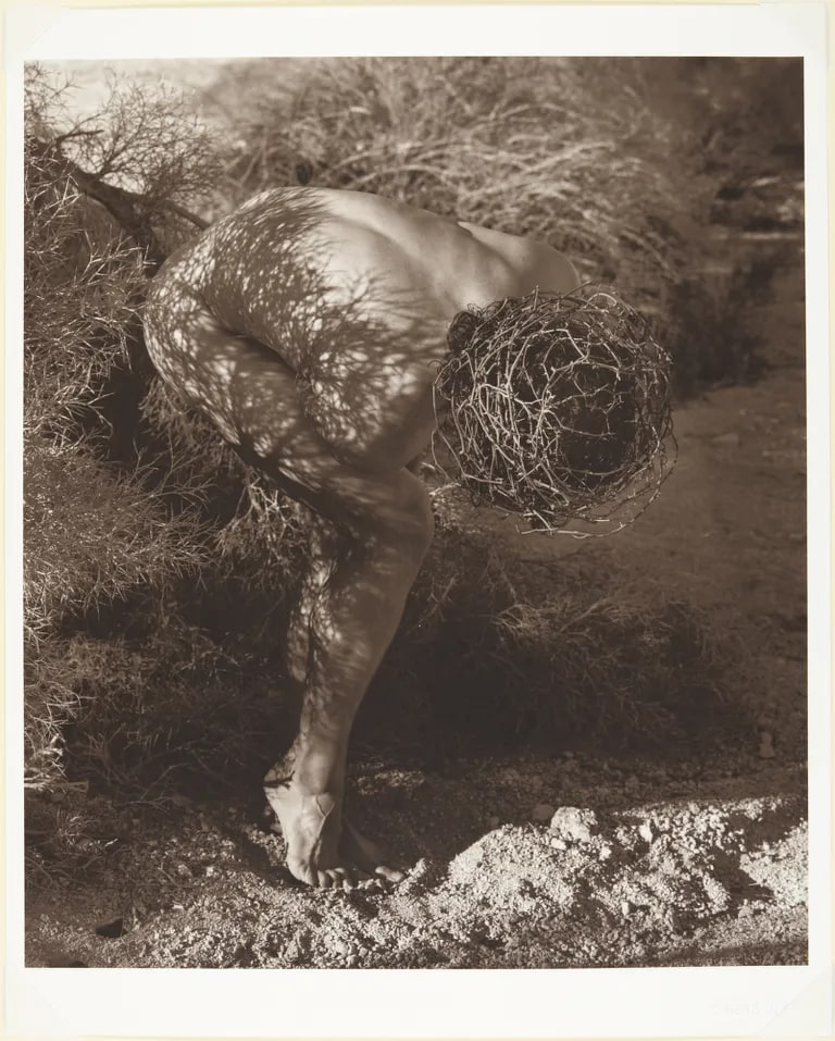 Male Nude with Thorns, Joshua Tree