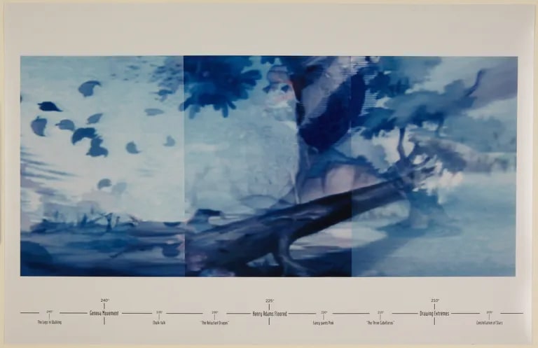 Muto(scape): A Panorama of Animation Specimens