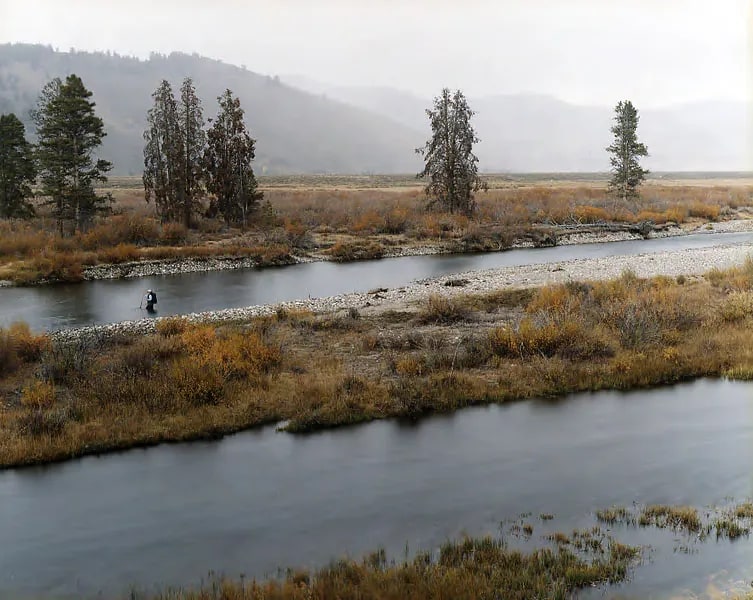 Chinook Salmon Spawning Ground Survey