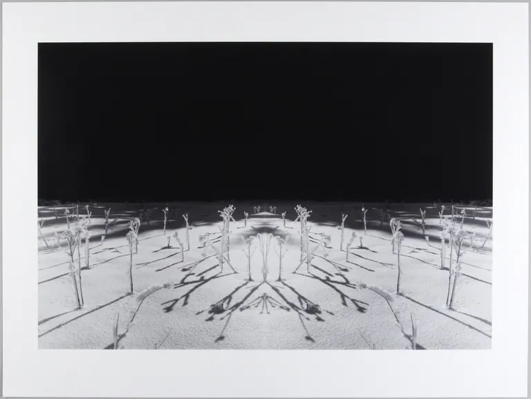 Day for Night, from the portfolio "Z15 (30 x30)" 2003