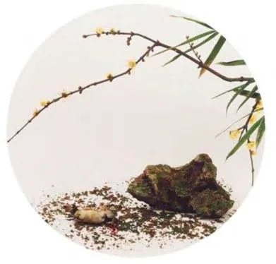 After Ma Lin's Fragrance with Sparse Shadow (Song Dynasty)