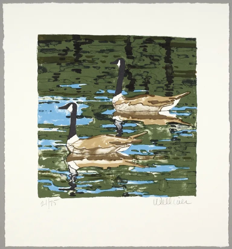 Canadian Geese