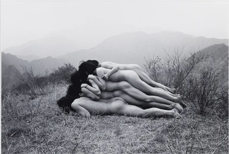 To Add One Meter to an Anonymous Mountain (Wei wumingshan zeng gao yi mi 為無名山曾高一米)