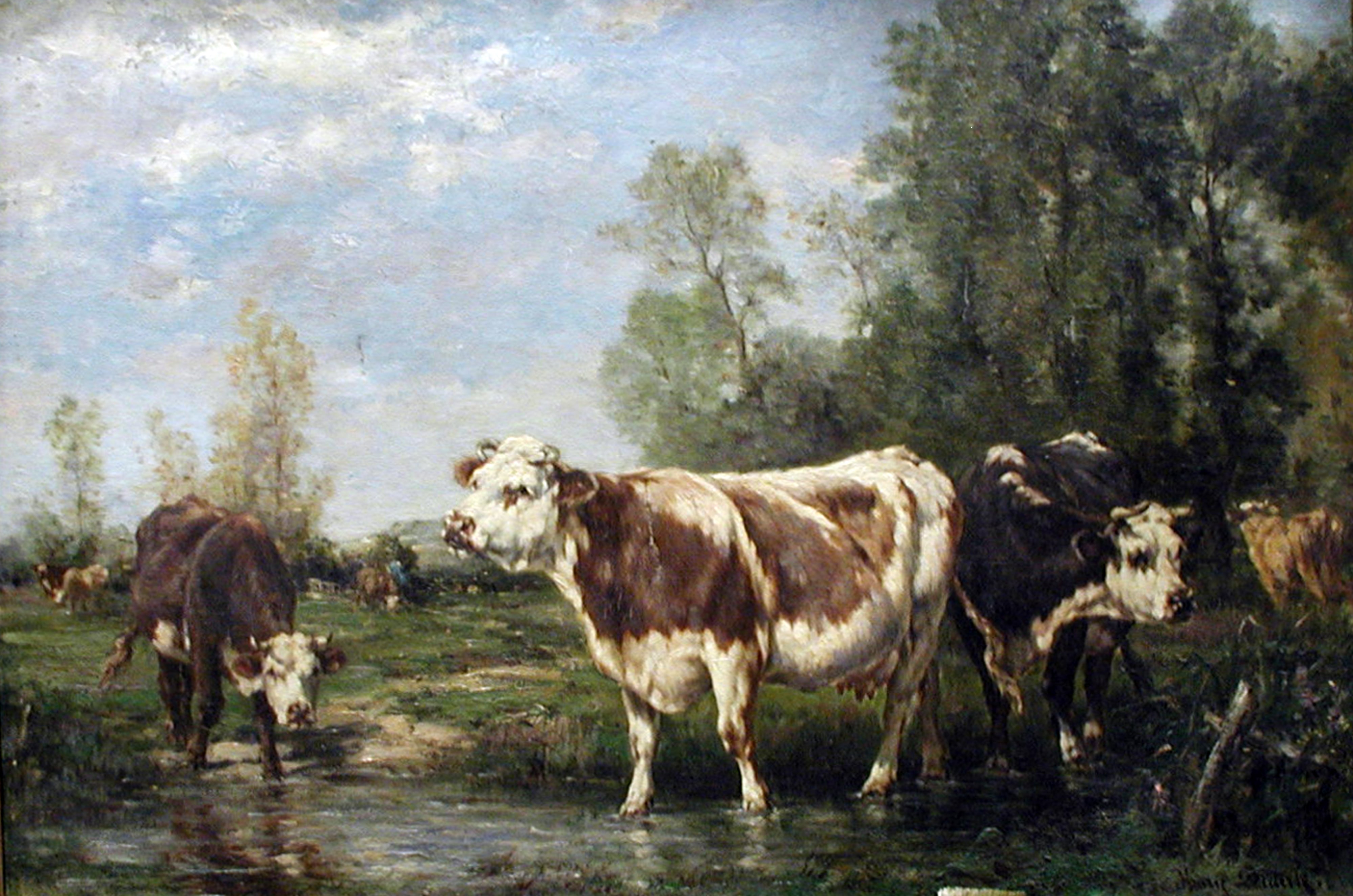 Cows by a Stream