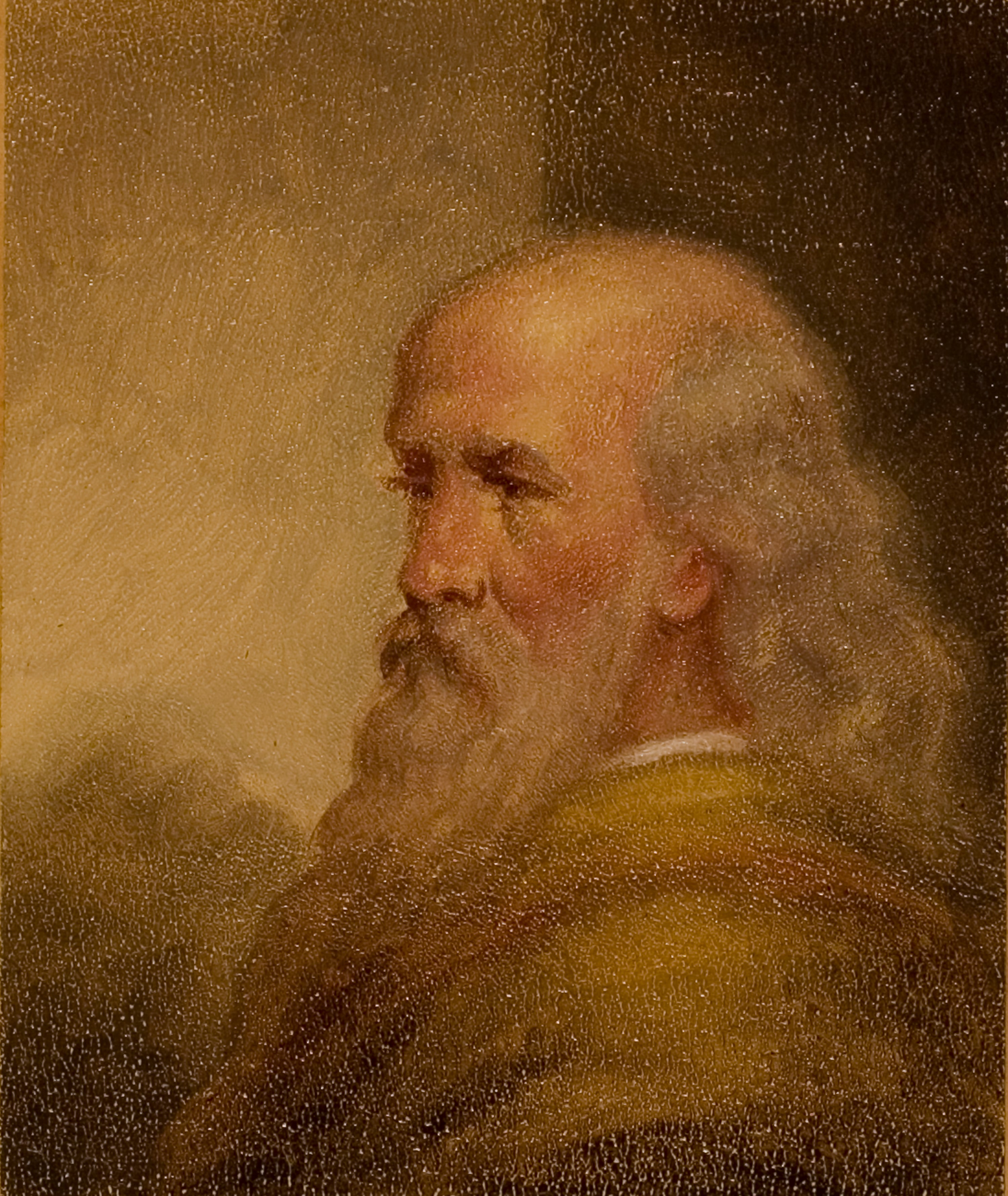 Portrait of an Old Man