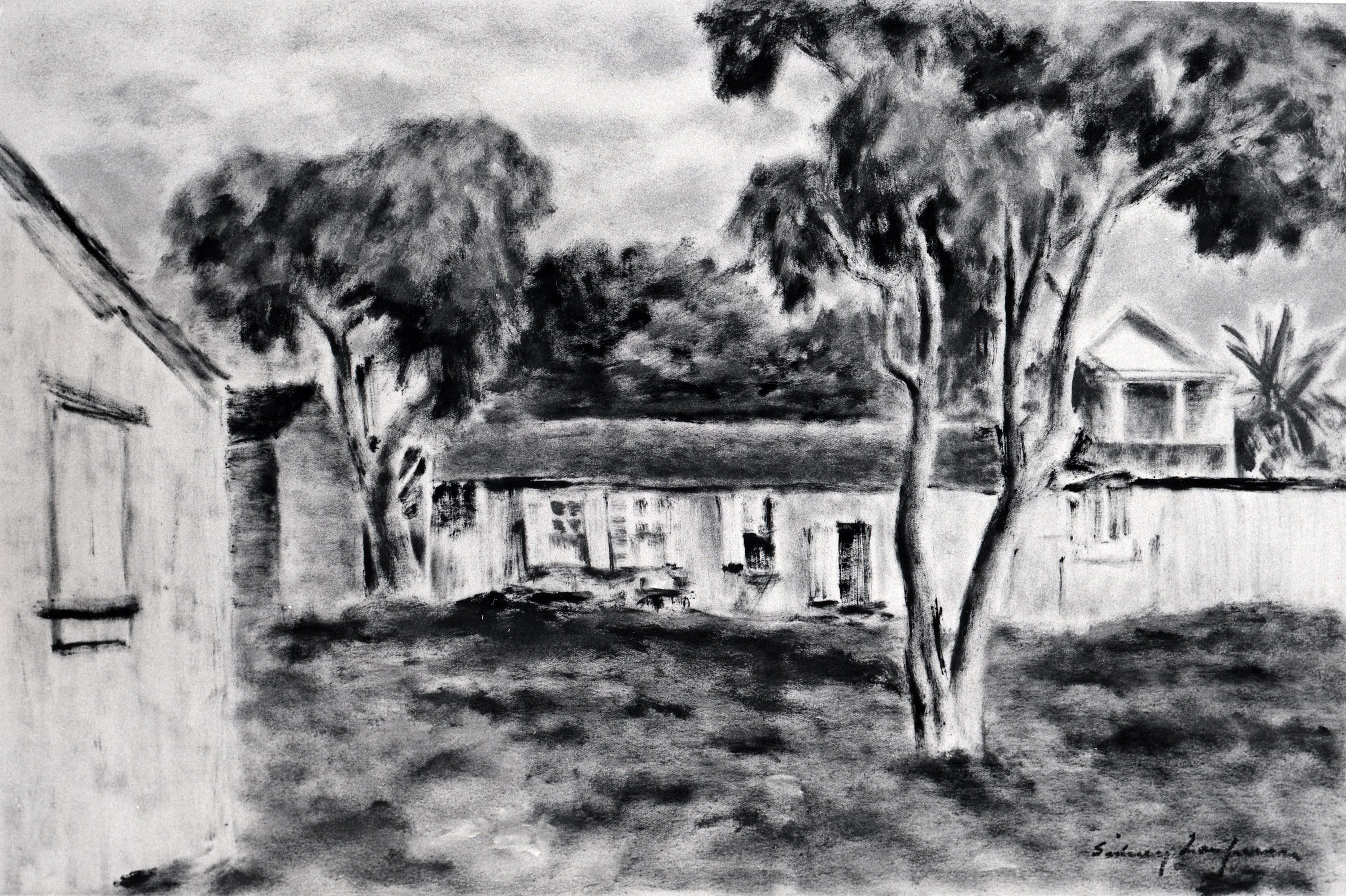 The Long Shed