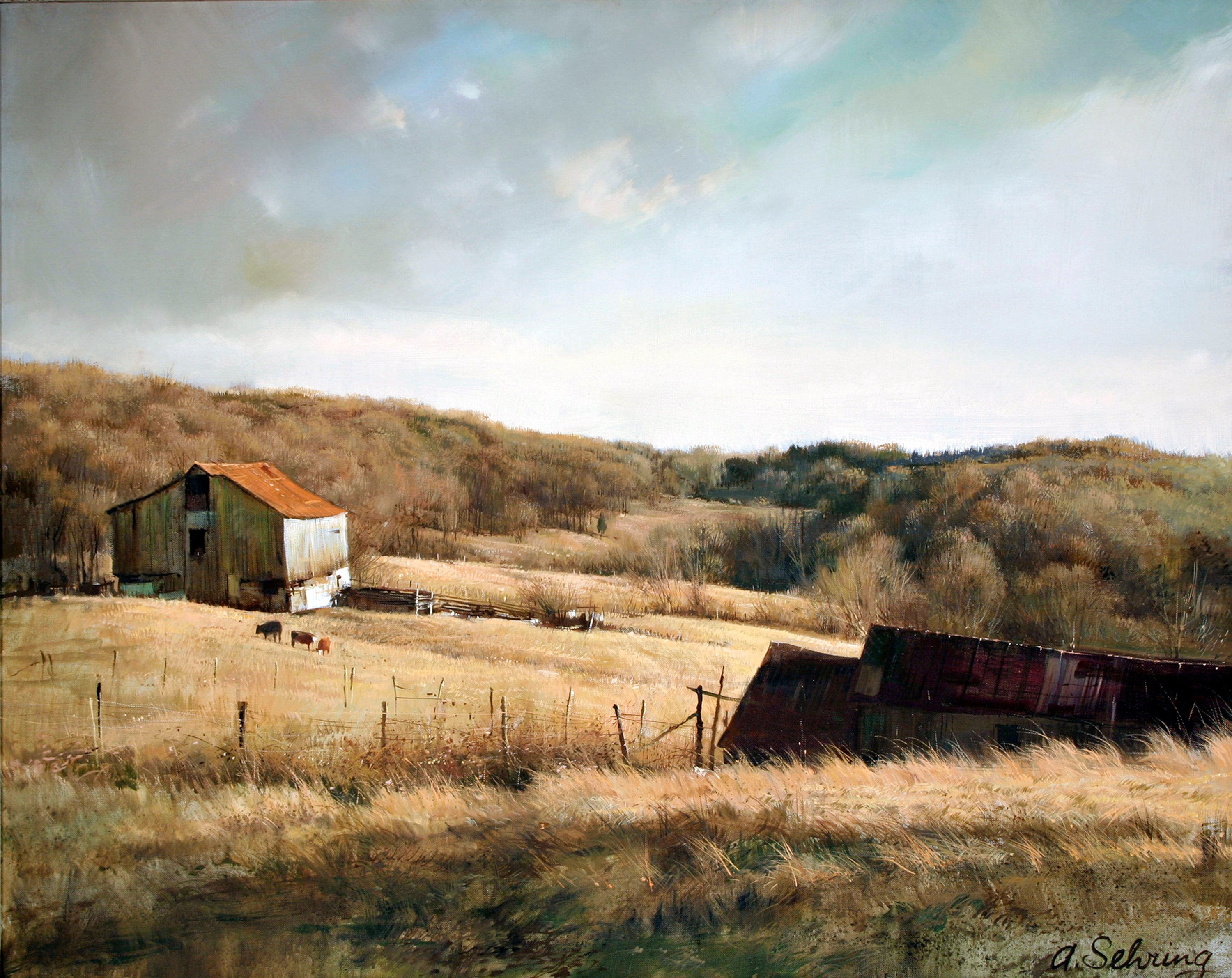 Virginia Countryside