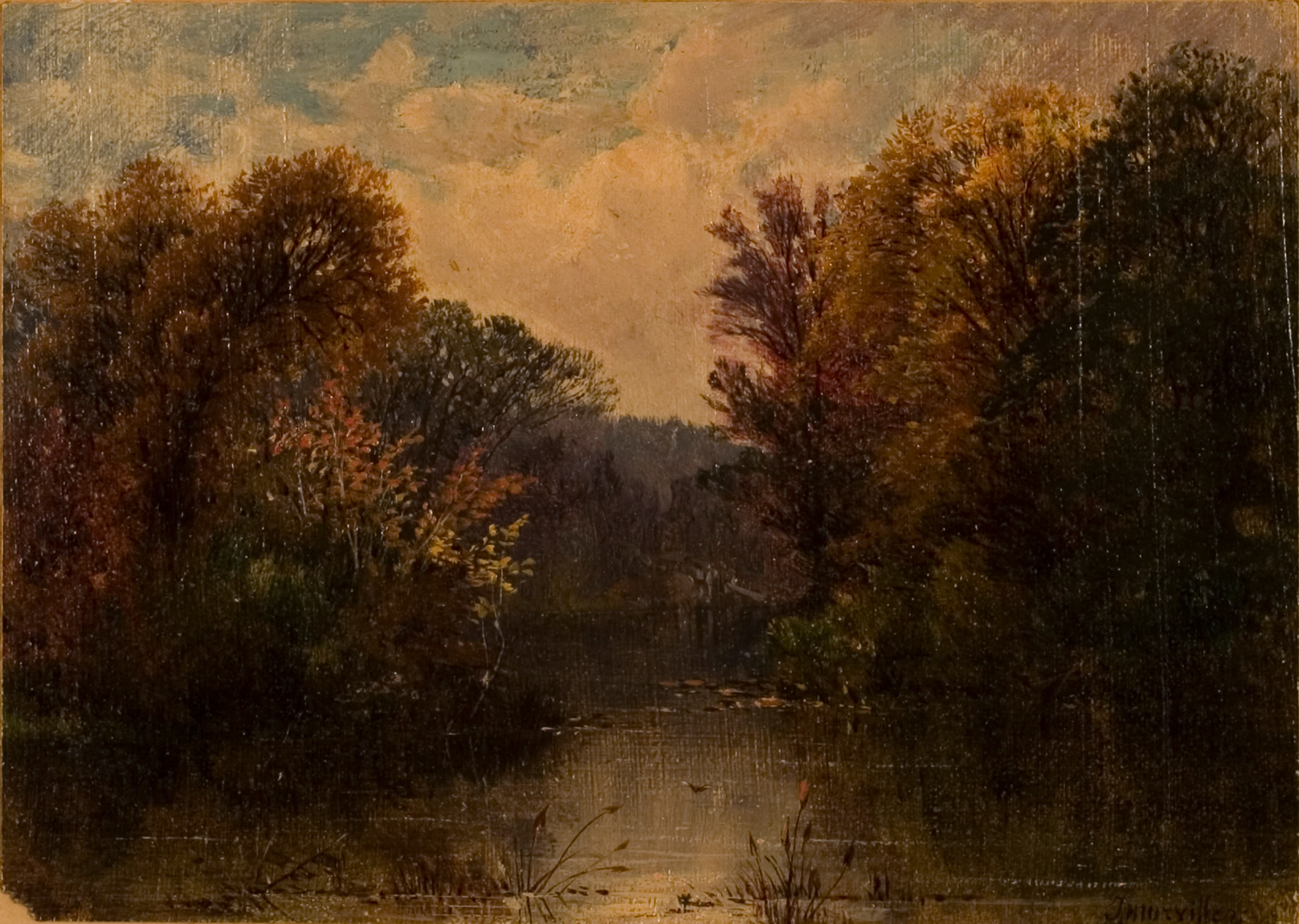Woodland Stream