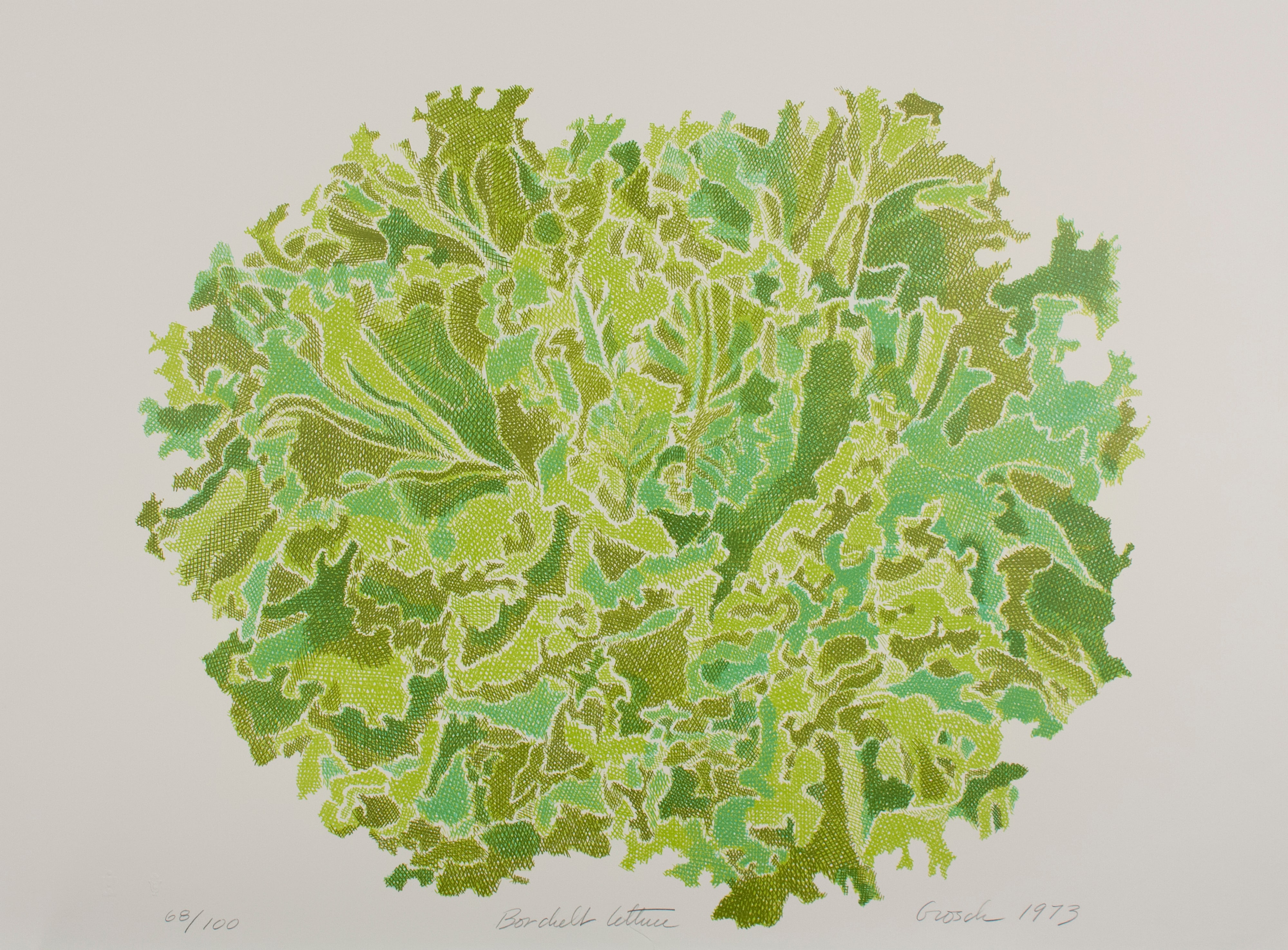 Borchelt Lettuce
