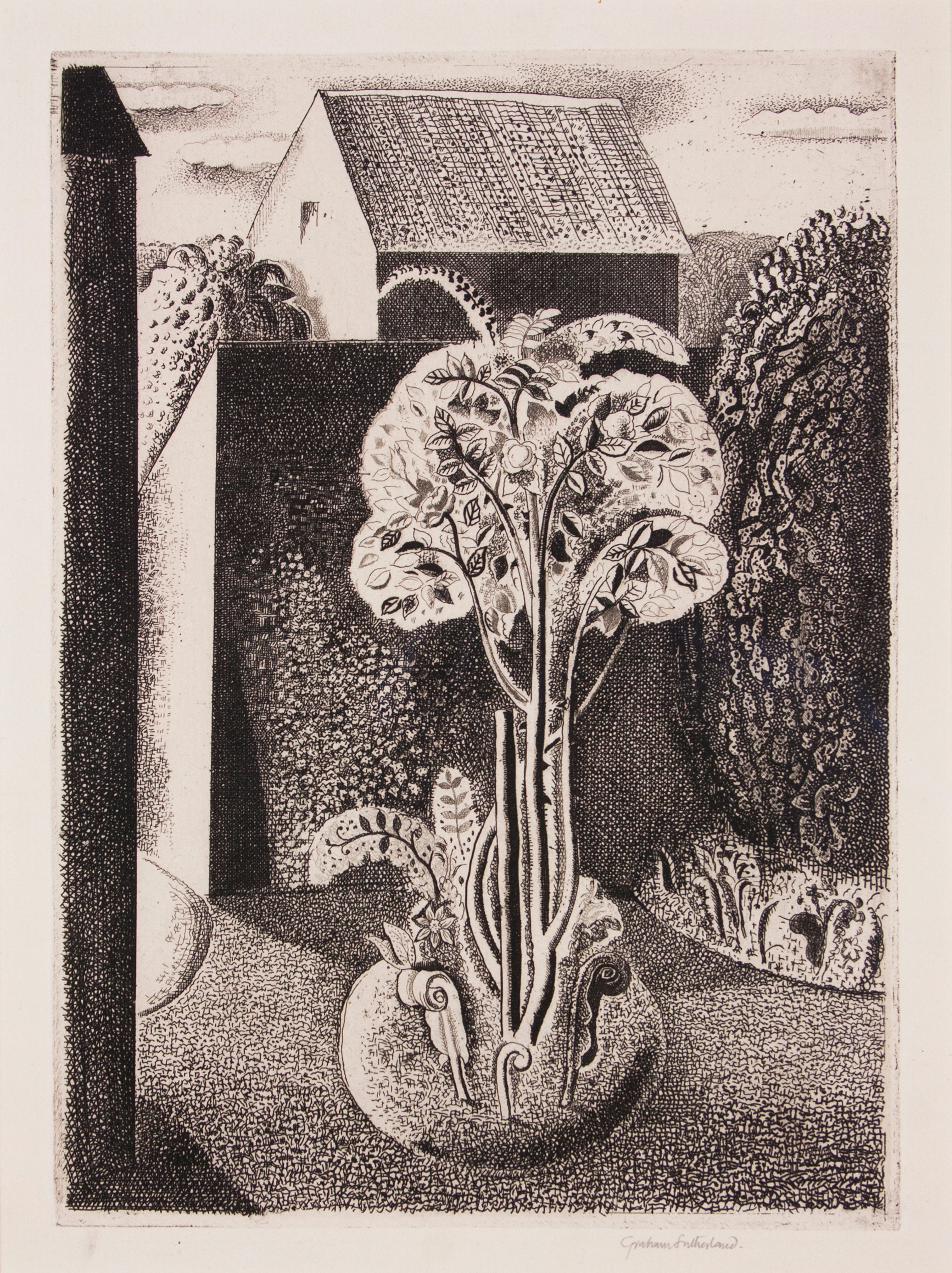 The Garden