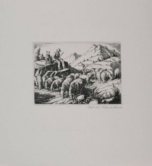 The Shepherd