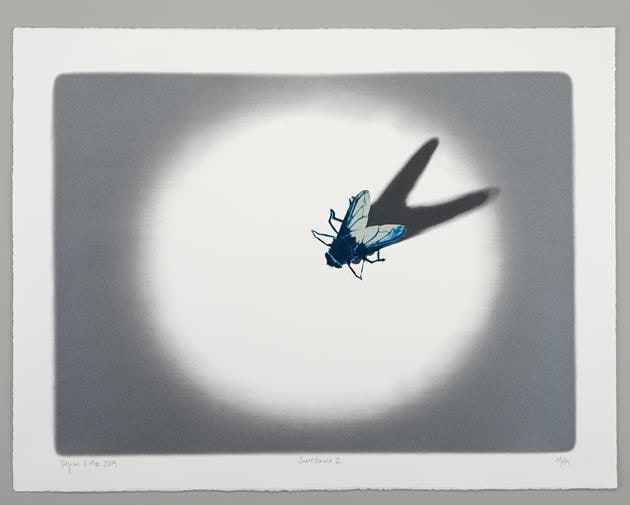 Surveillance II