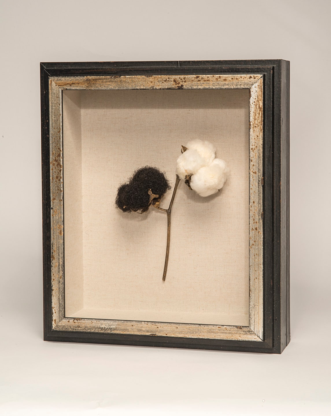 Cotton to Hair