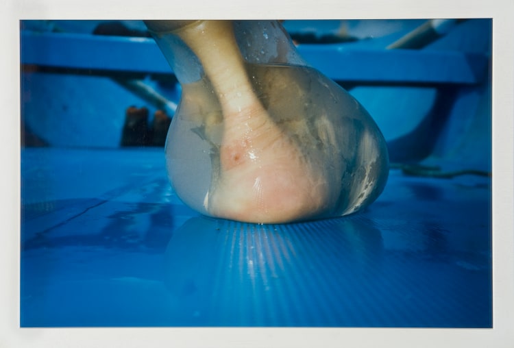 He Drowned in Her Eyes as she Called him to Follow [Anatomy: Blue]