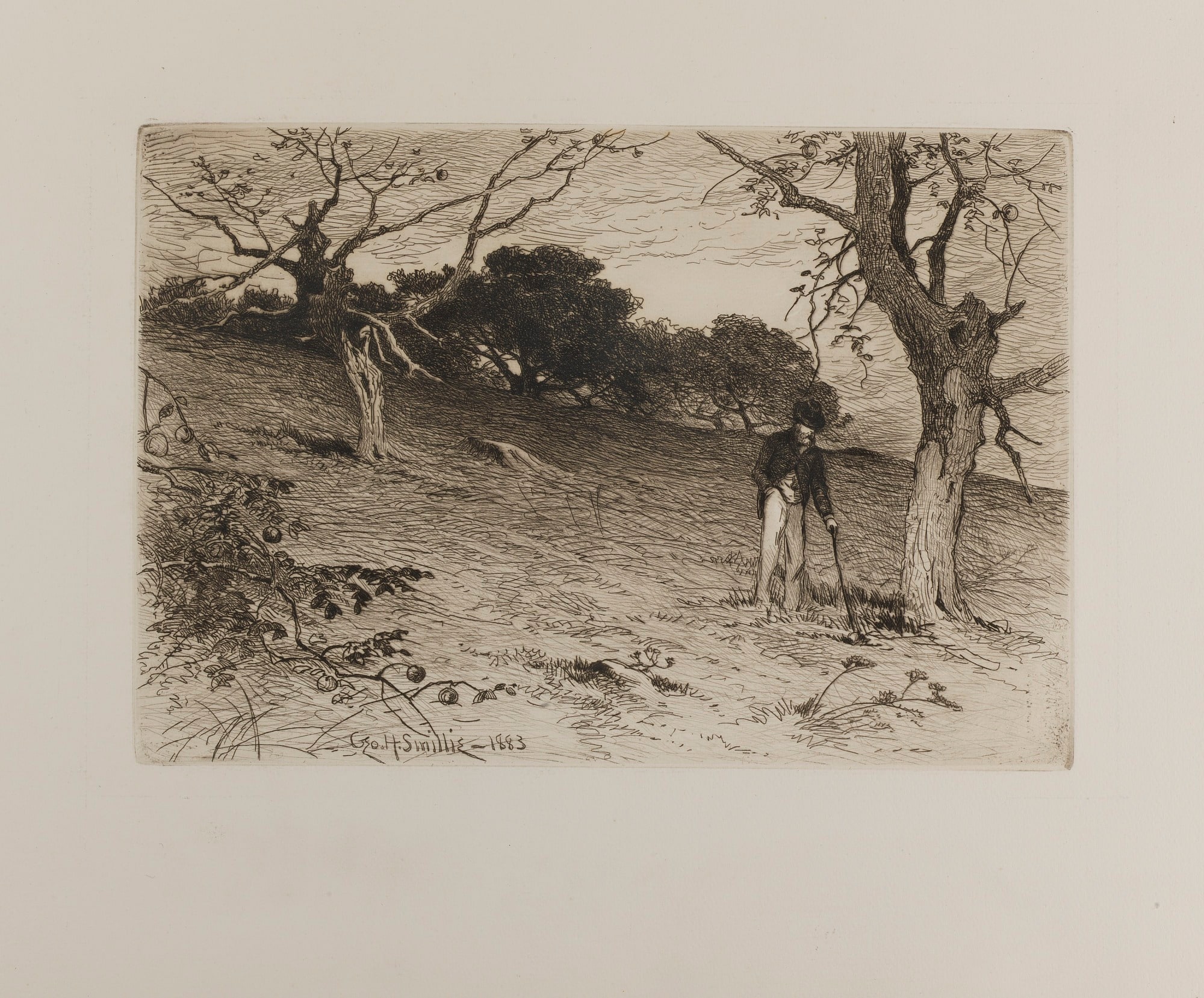 An Old New England Orchard