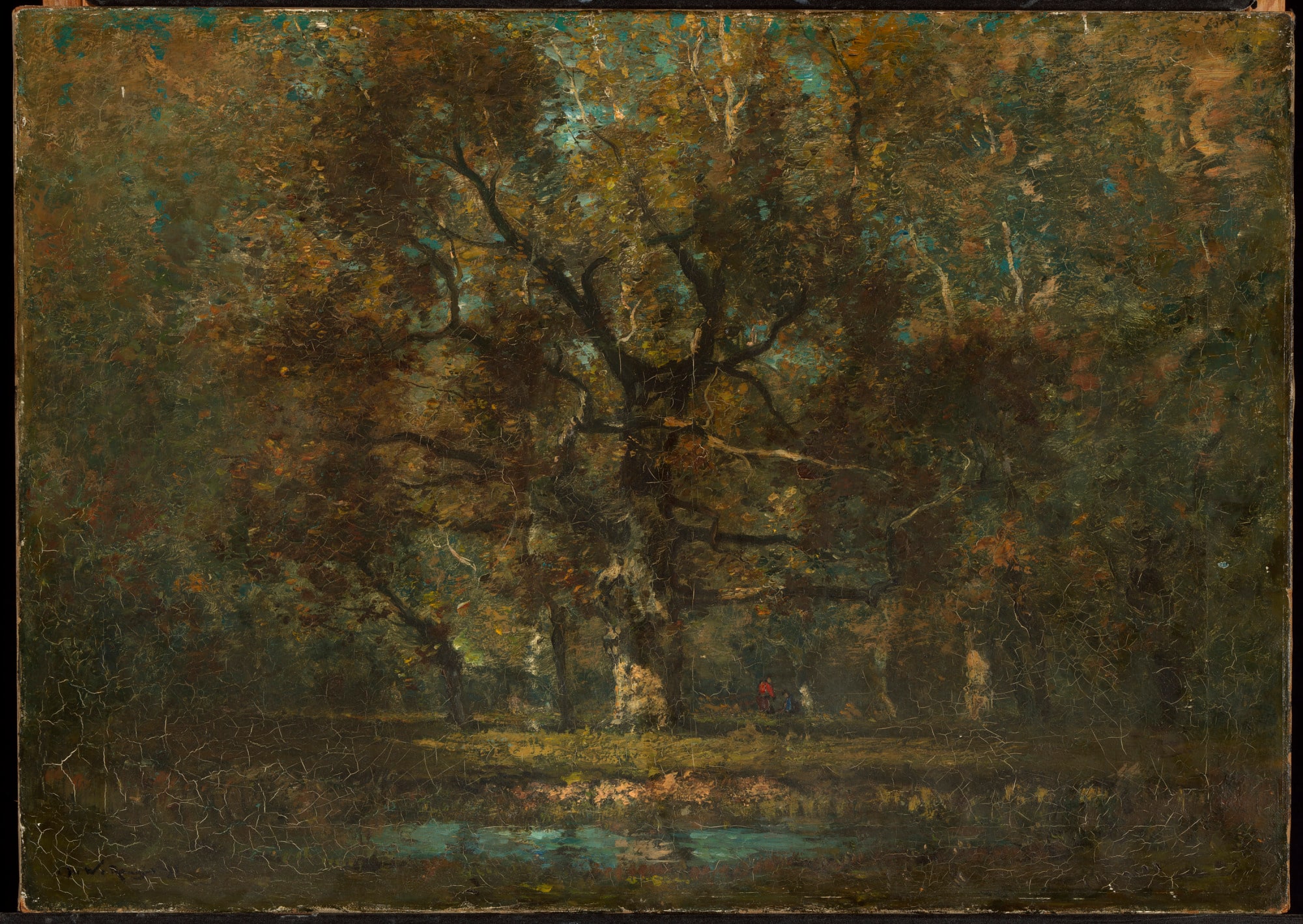 Oak Tree