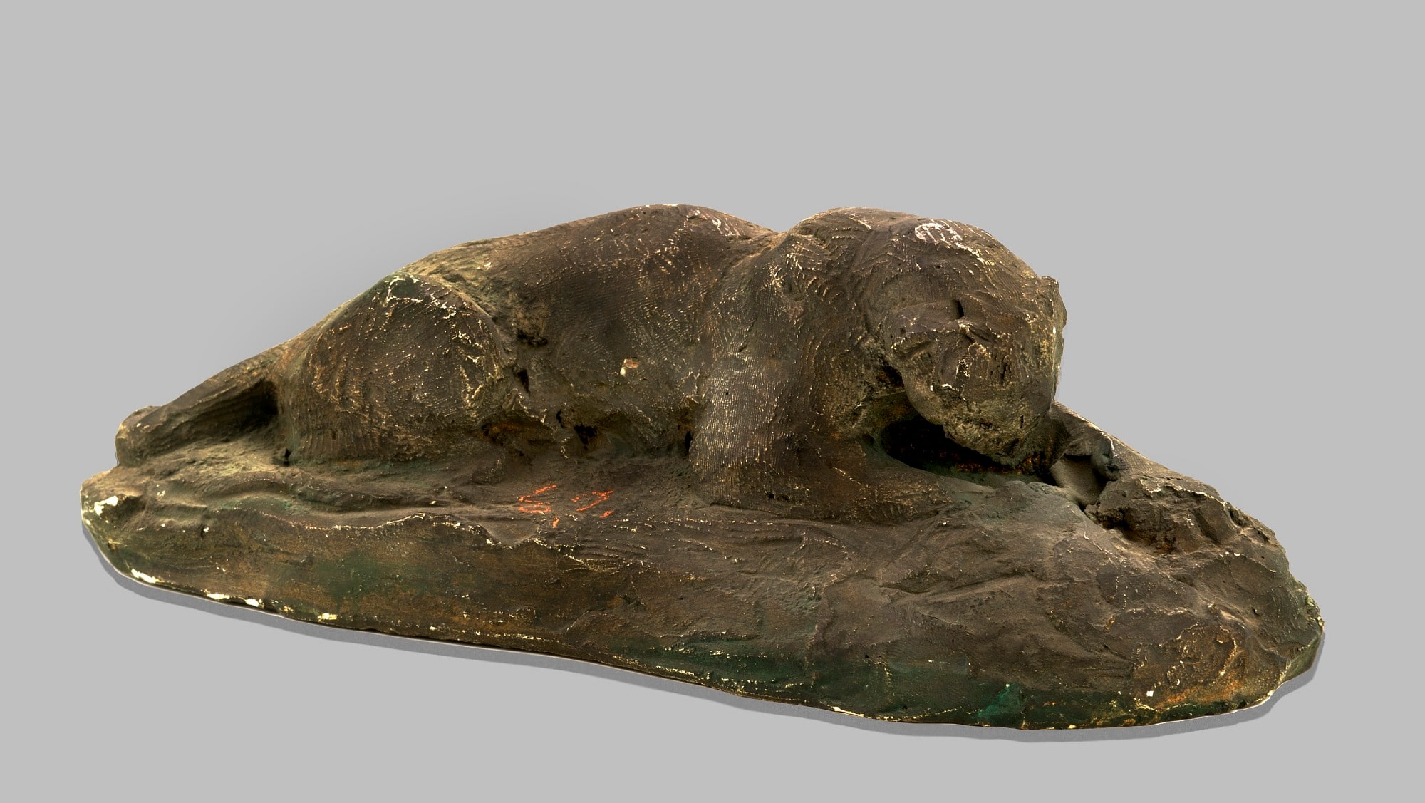 Small Panther Lying Down