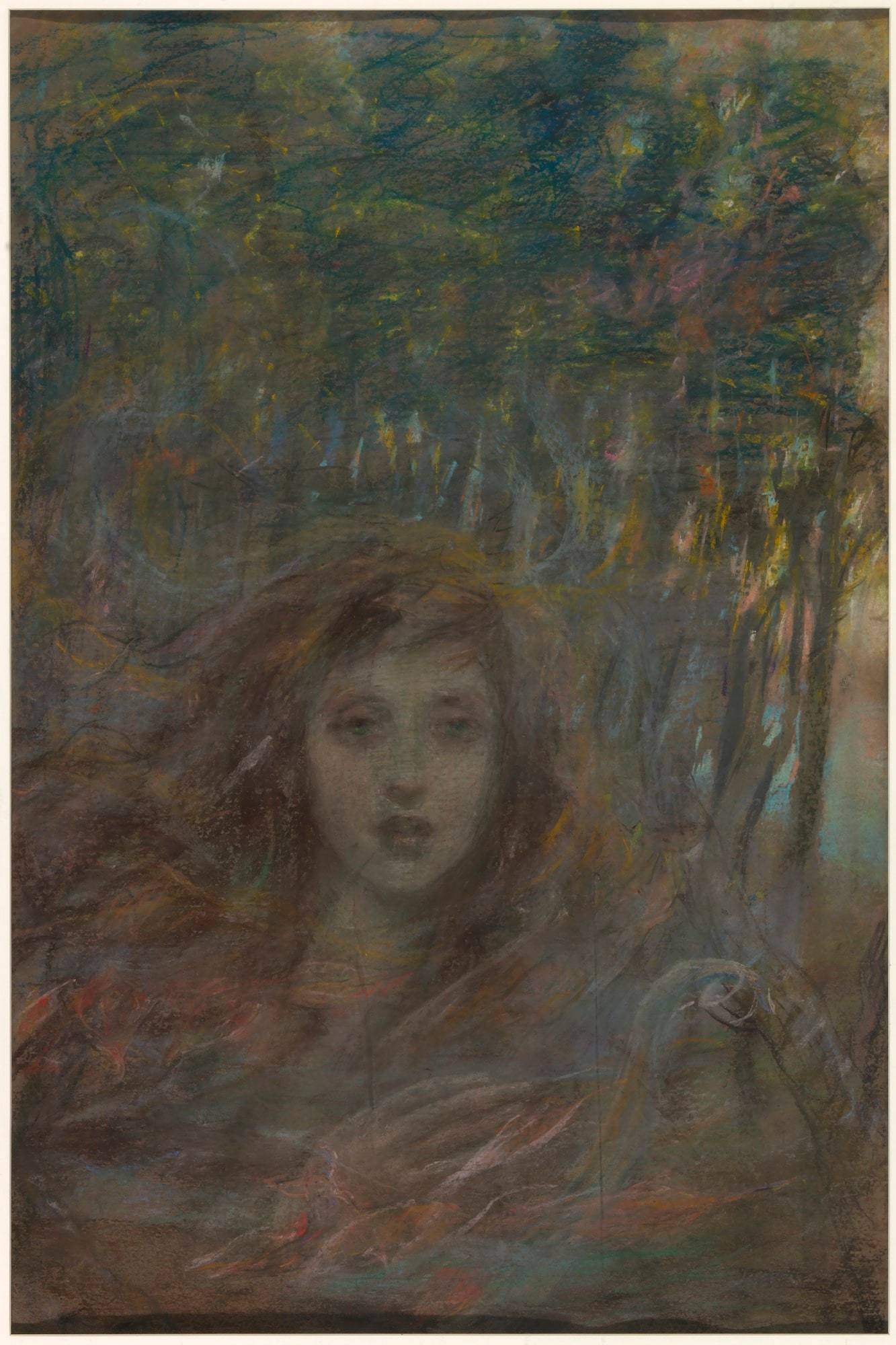 Vision through Woods