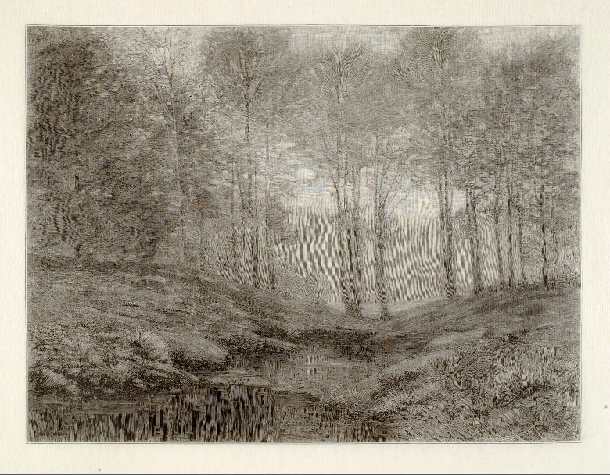 Summer Morning
