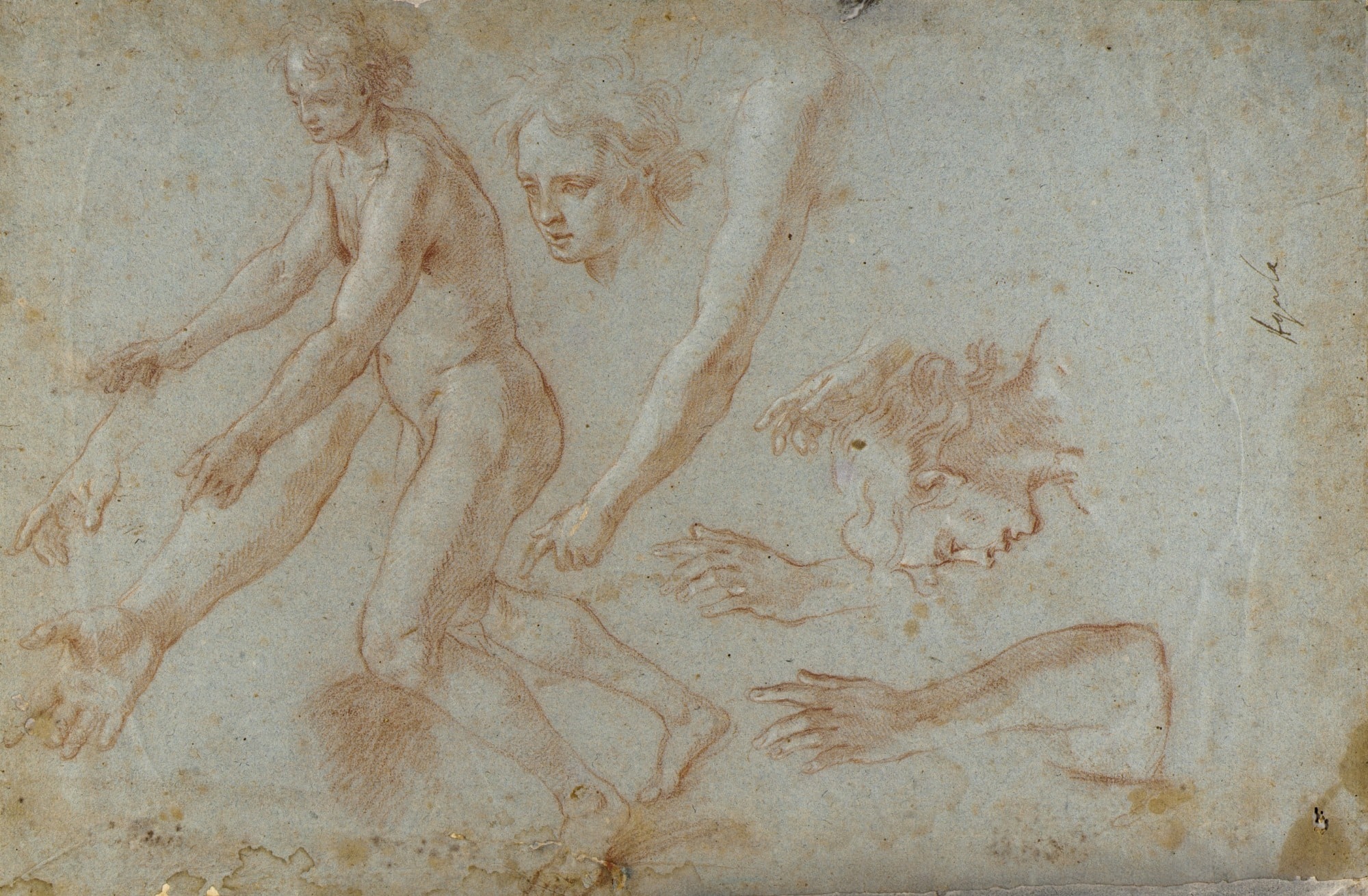 Drawing