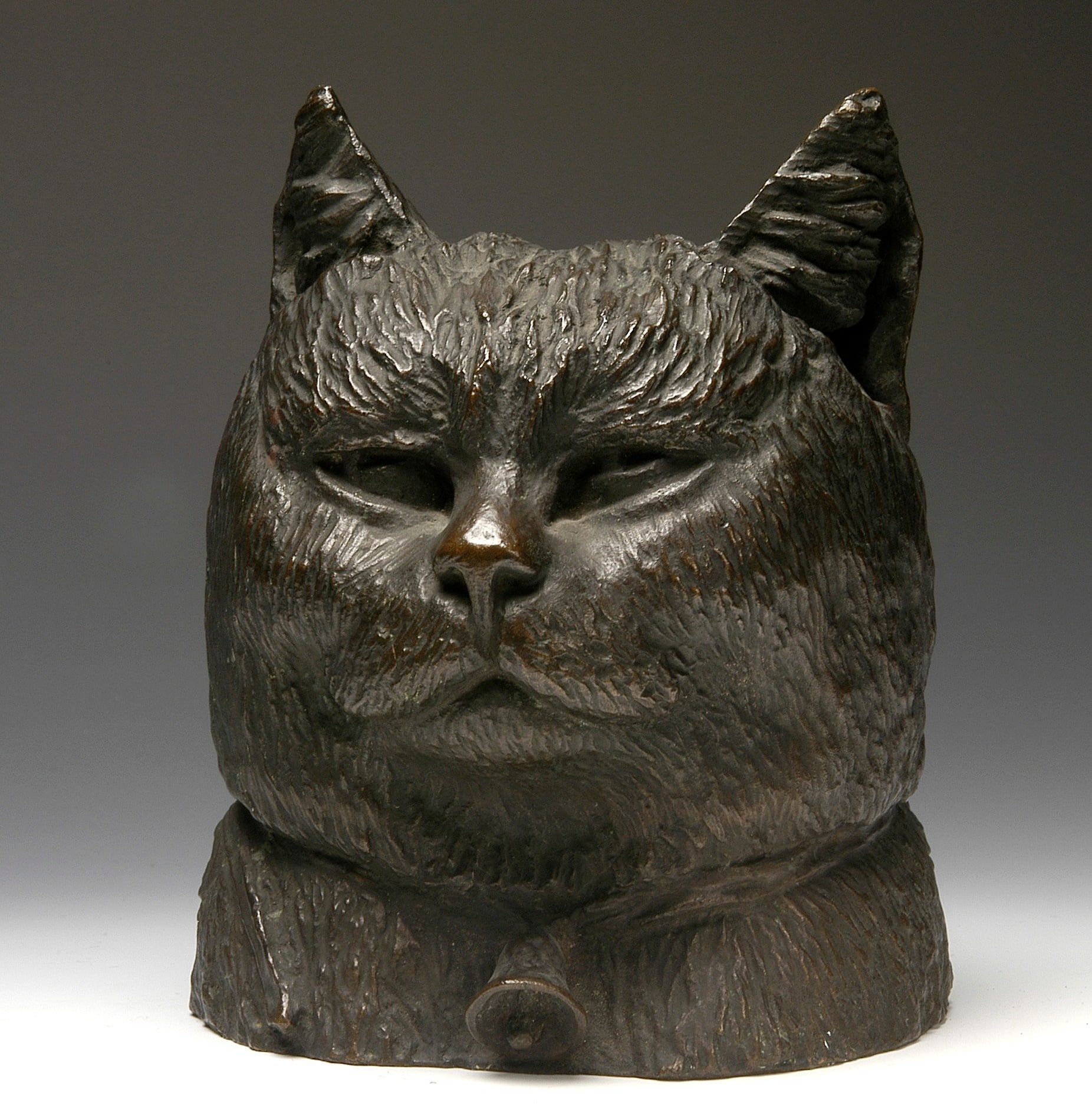 Head of a Cat