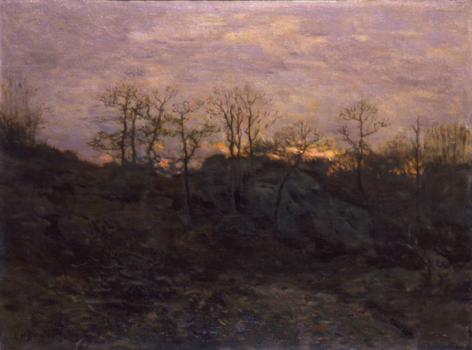 Edge of the Forest, Twilight