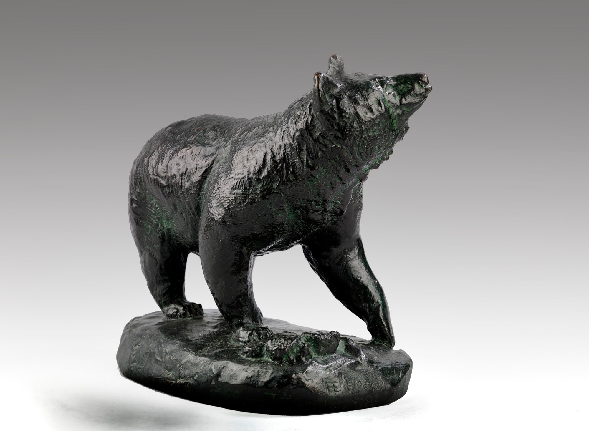 Bear