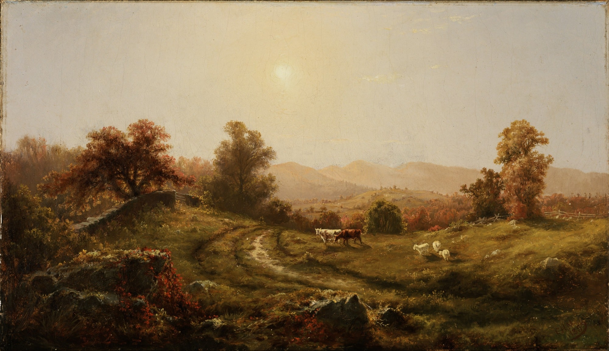Landscape