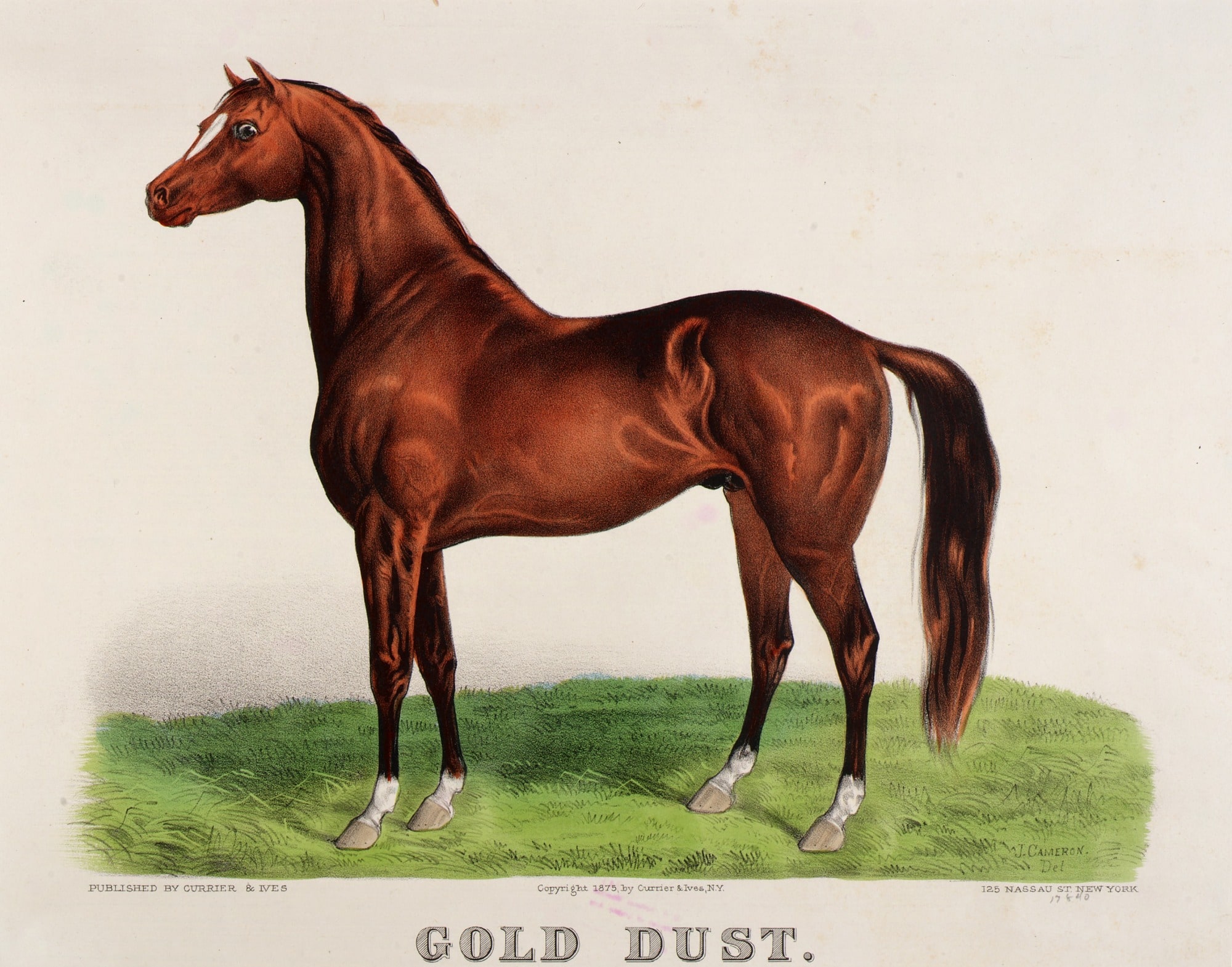Gold Dust