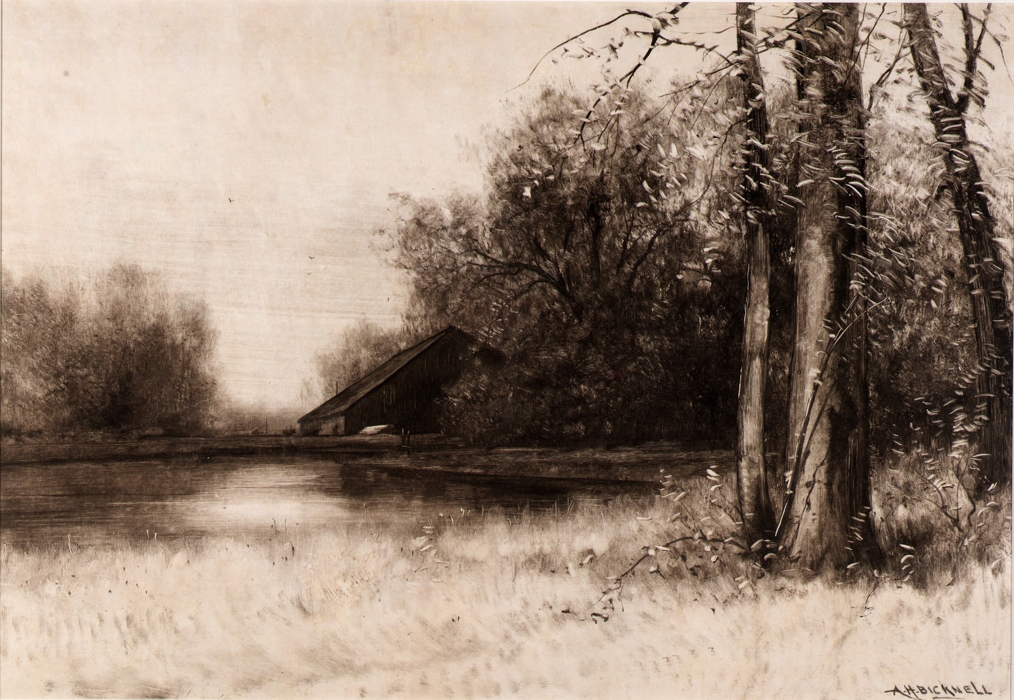 Mill Pond