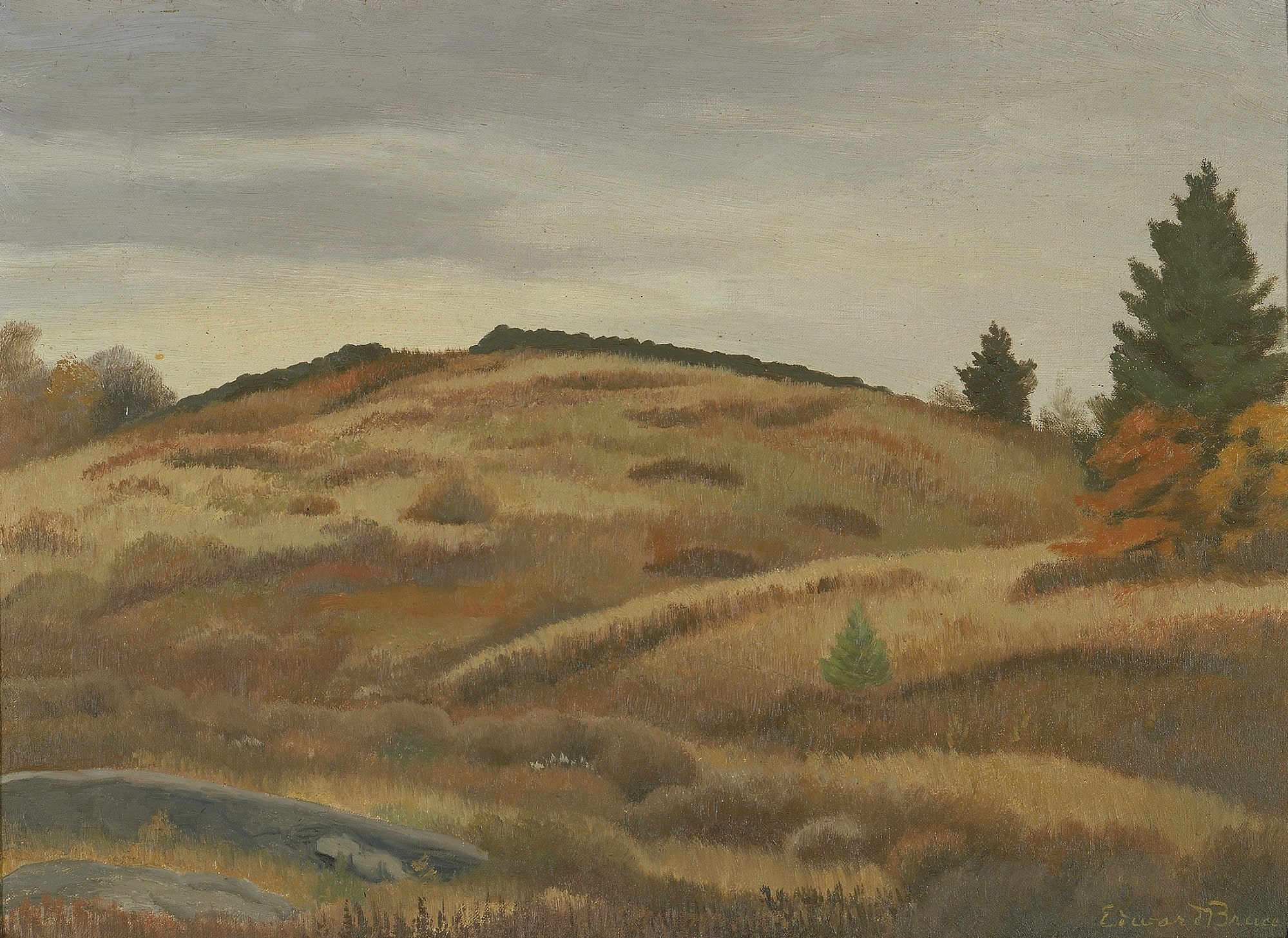 Autumn Fields