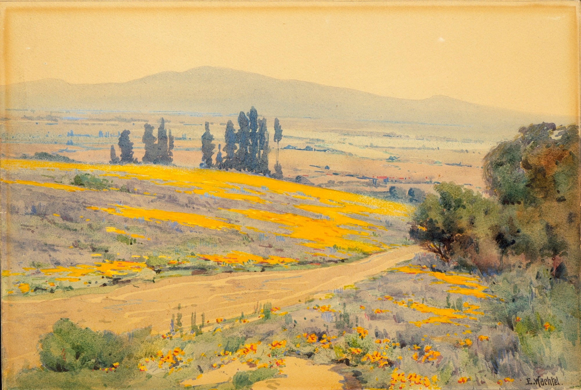 California Spring Landscape