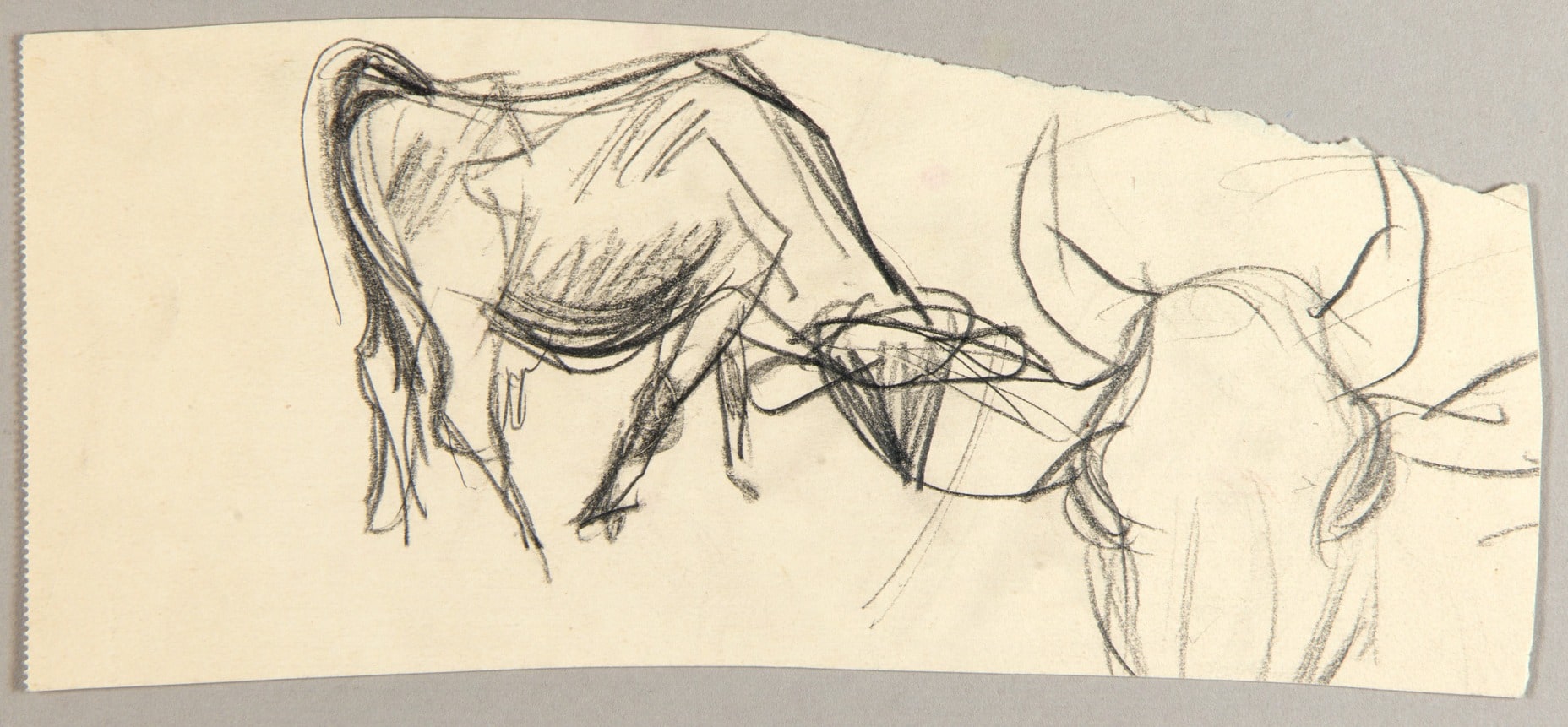 Oxen