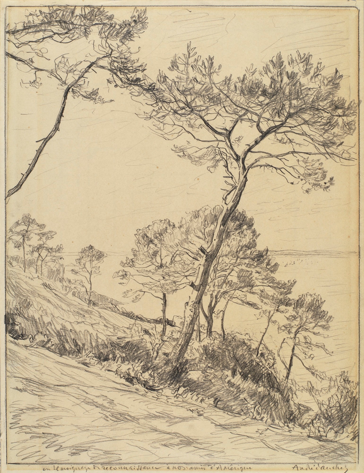 Landscape