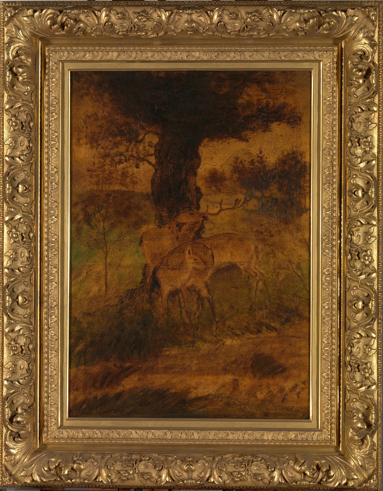 A Stag and Two Does