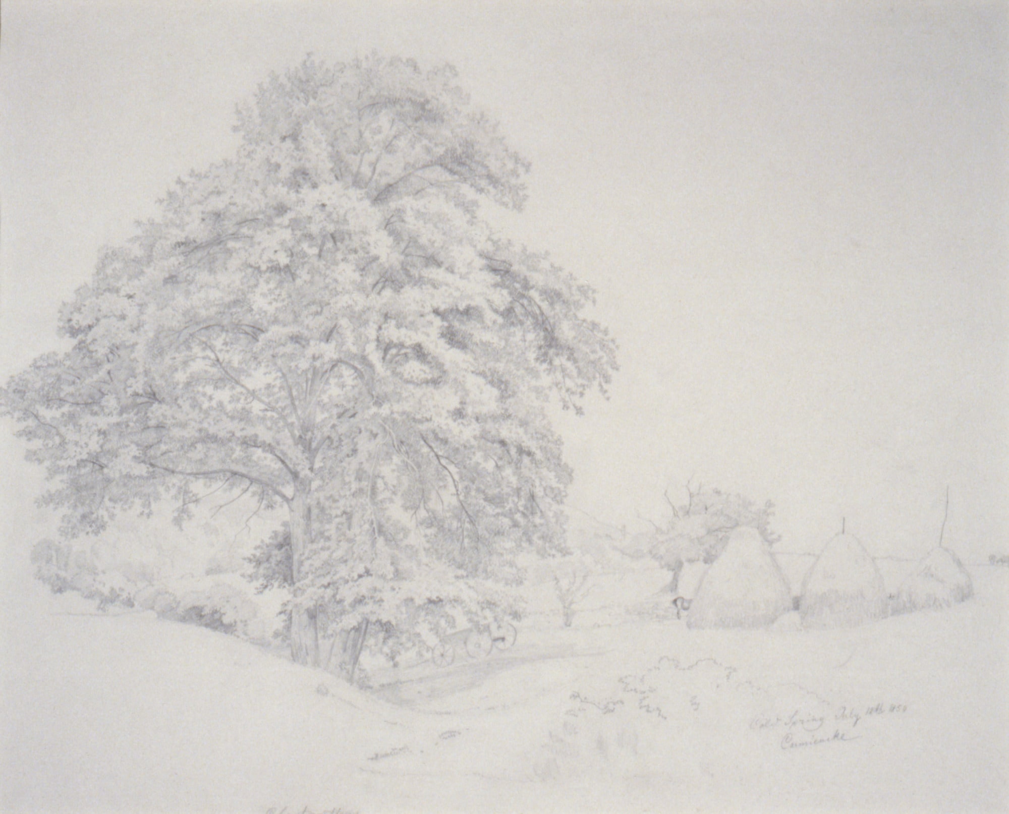Cold Spring