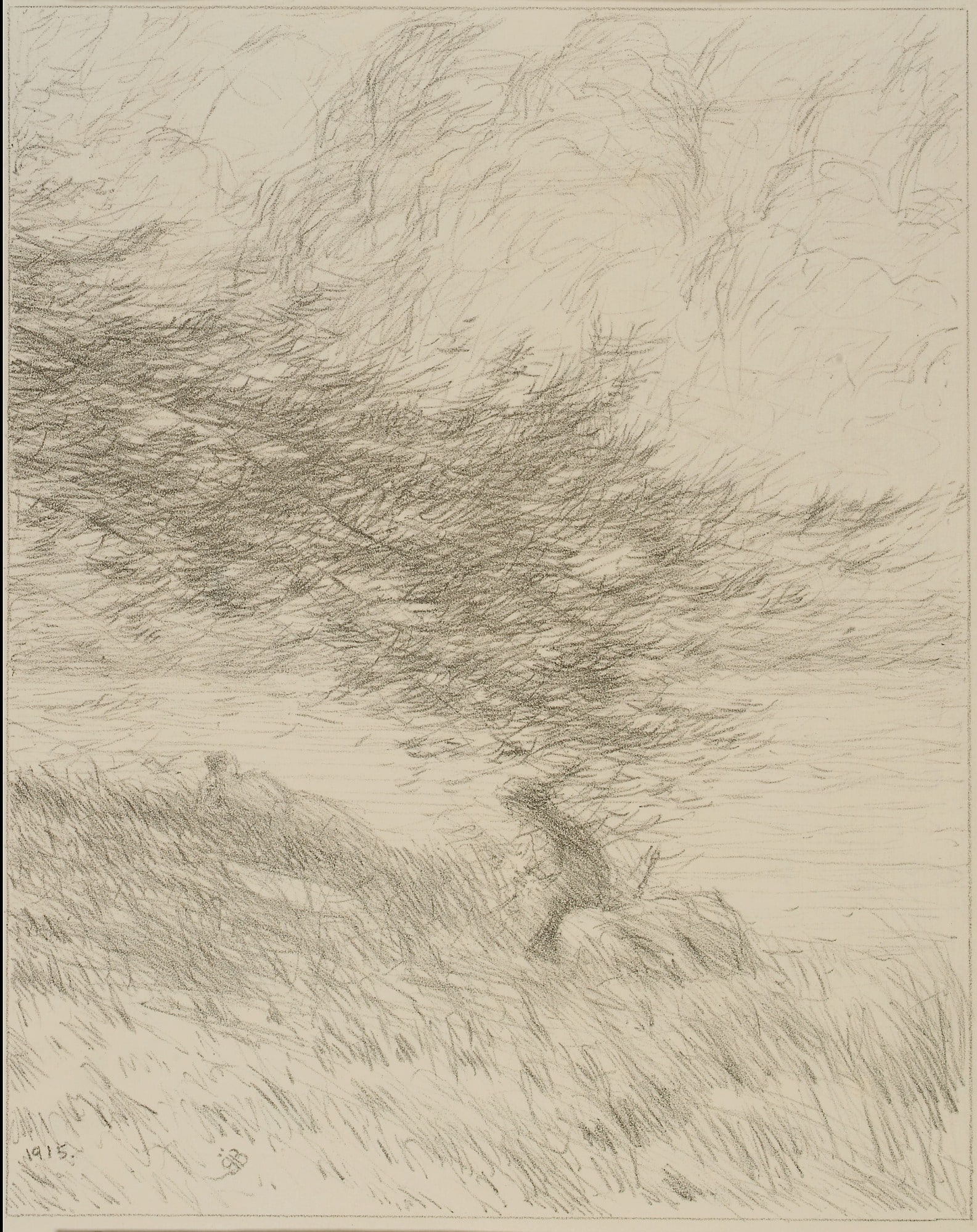 The Pine Bough