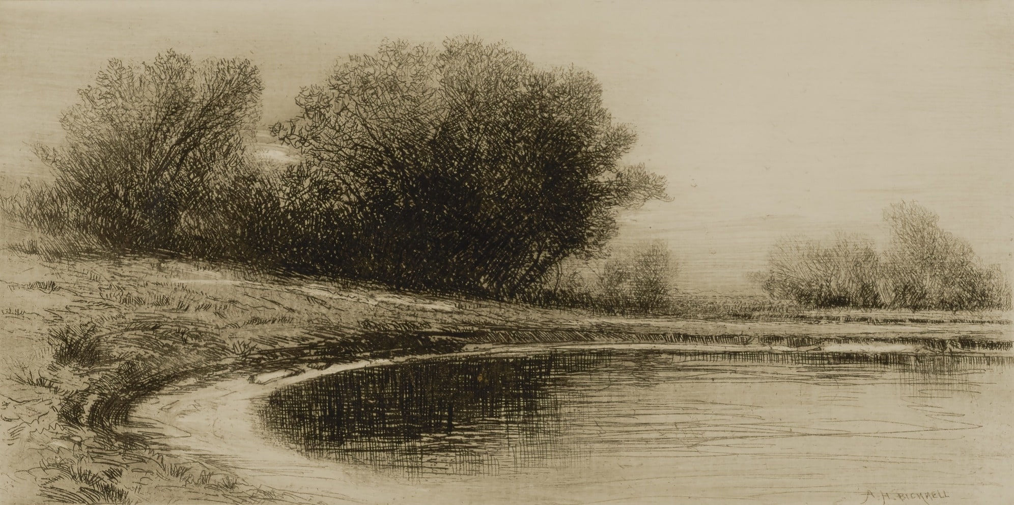 Pond and Trees