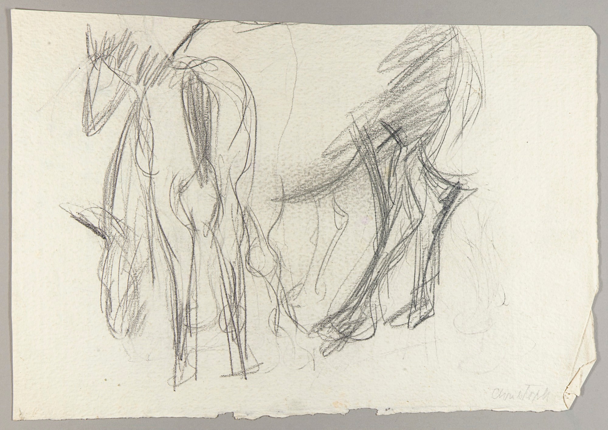 Horses