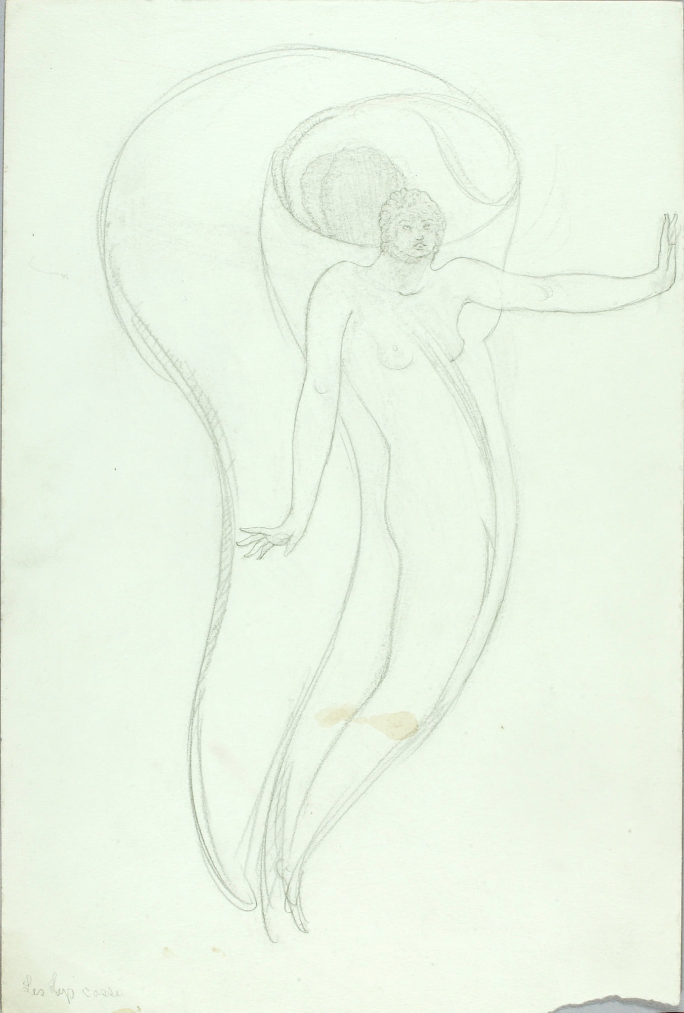 Le Lys Casse (The Broken Lily)