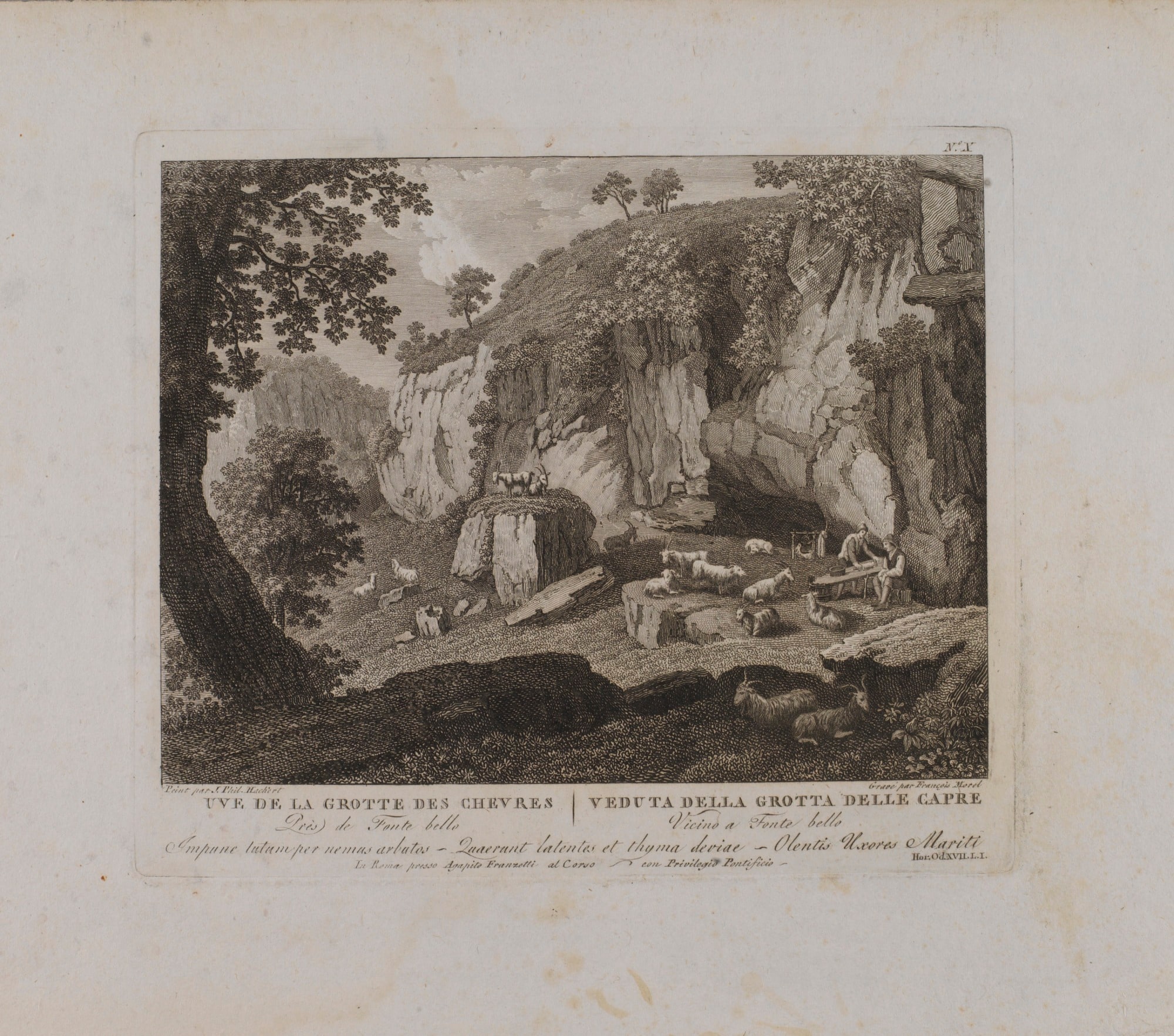 Uve (sic) de la Grotte des Chevres (no. X)