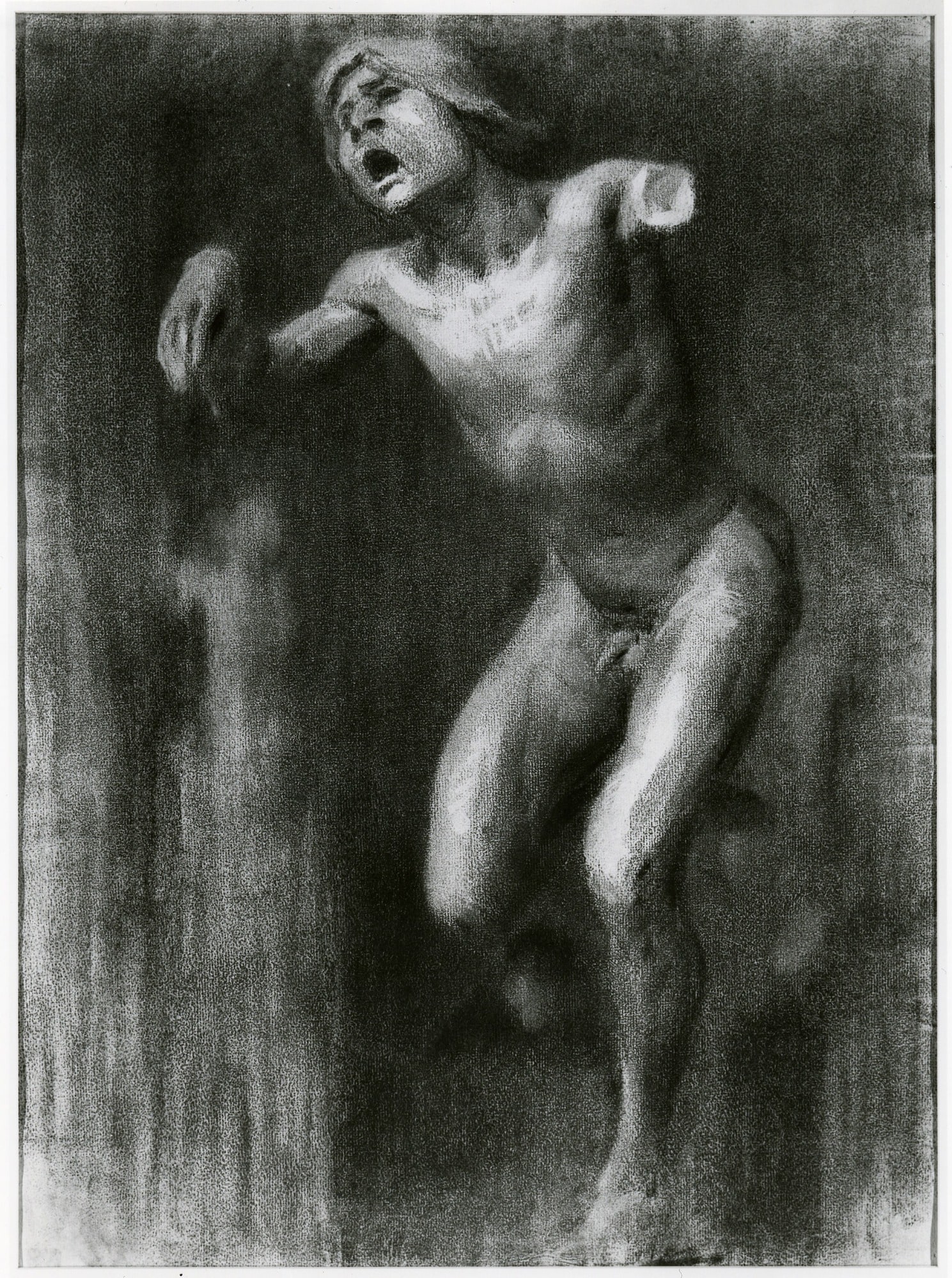 Plaster Cast