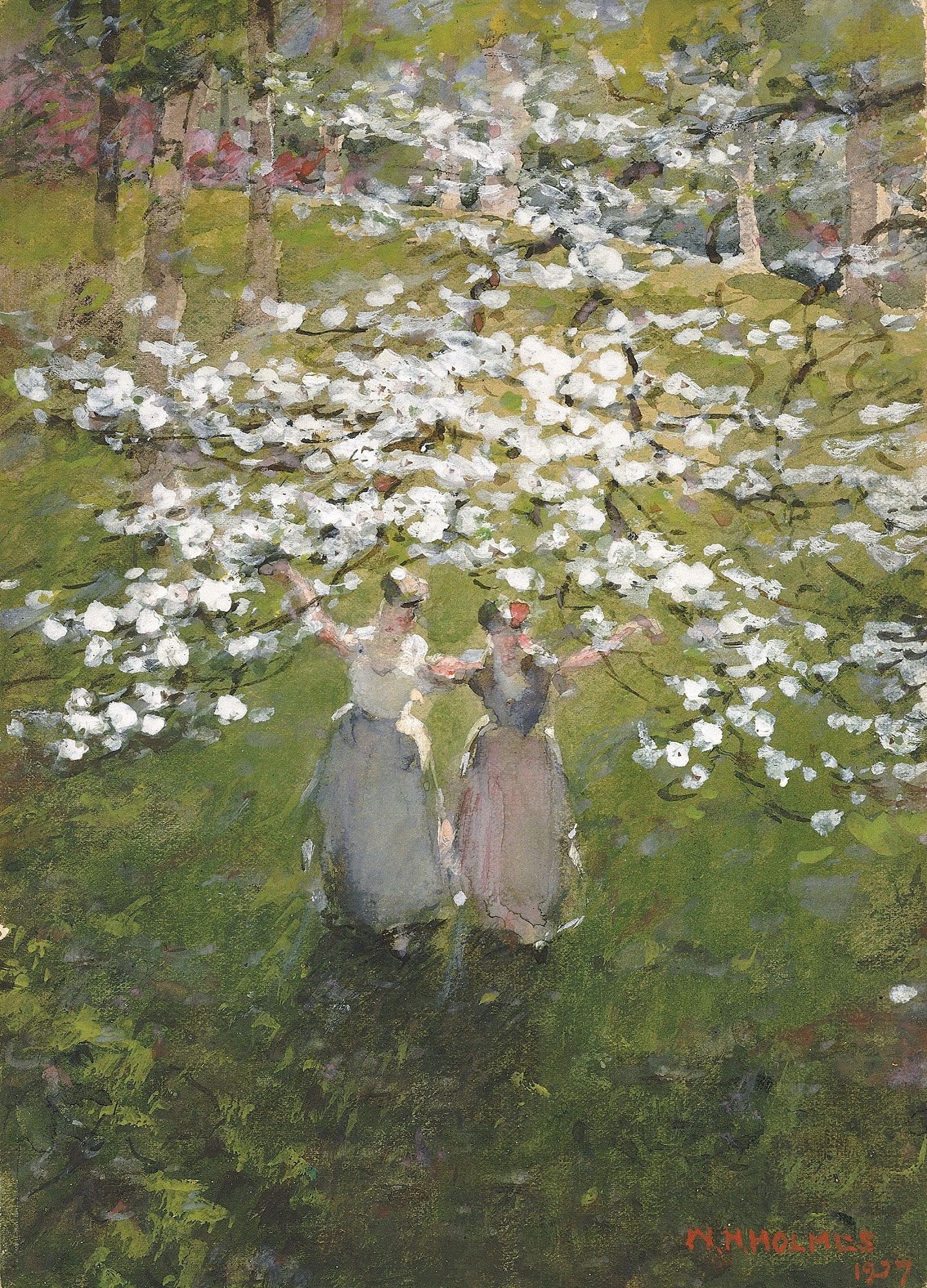 Blossoms